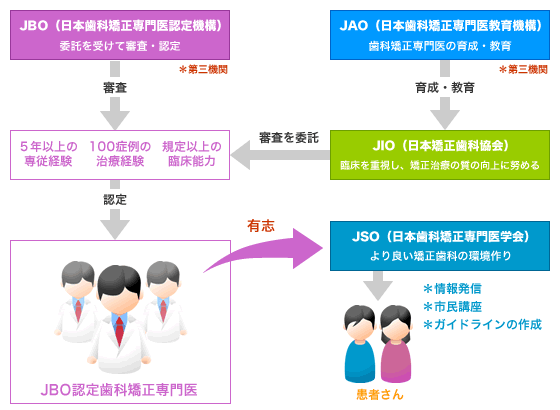 日本矯正歯科学会の組織図イメージ